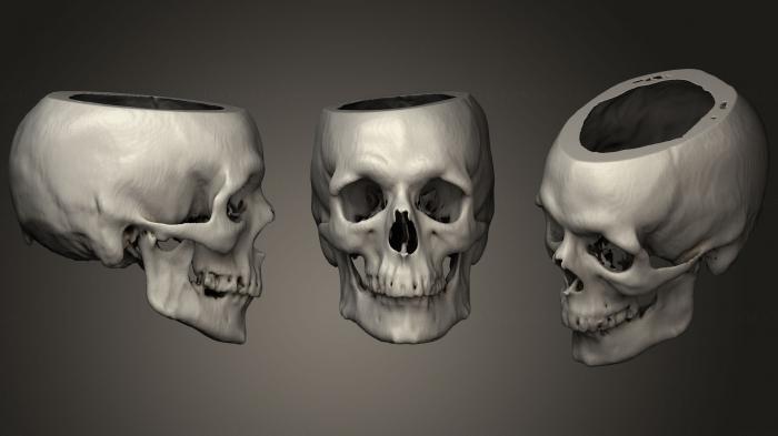 Anatomy of skeletons and skulls (ANTM_1286) 3D model for CNC machine